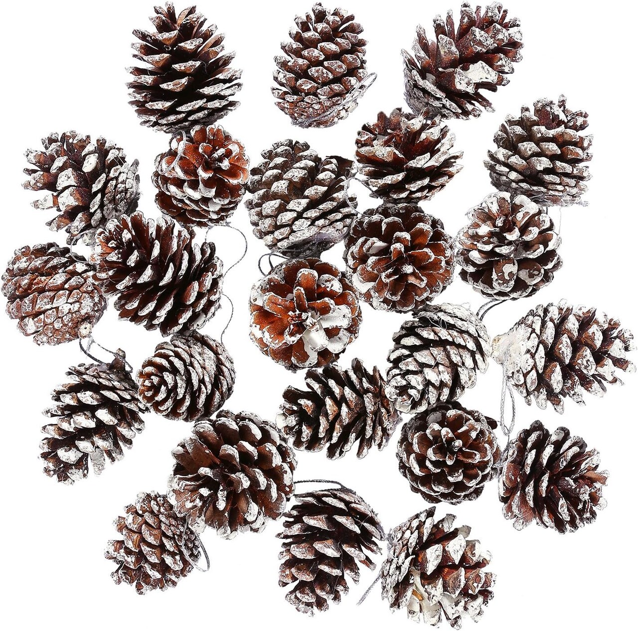 24 Pieces Christmas Pine Cones Ornament Natural PineCones with String Pendant Crafts for Gift Tag Christmas Tree Party Hanging Decoration (Snow)